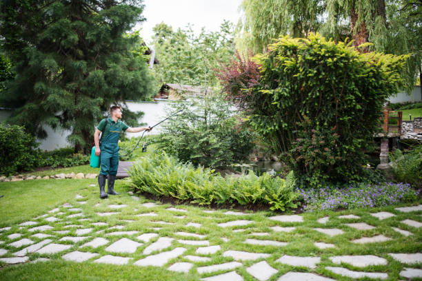 Best Mosquito Control Services  in Charles Town, WV