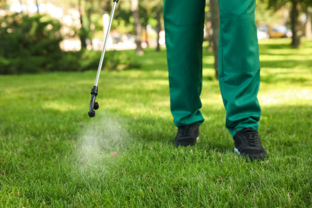 Best Termite Control Services  in Charles Town, WV