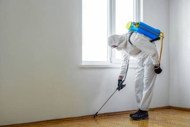 Best Affordable Pest Control Services  in Charles Town, WV