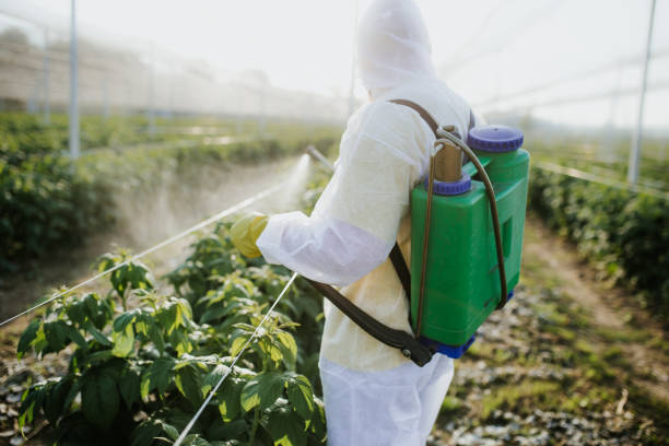 Best Exterminator Services  in Charles Town, WV